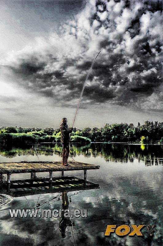 MeetCarp Romanian Awards 2013 - 1010058hdrmode2-2.jpg